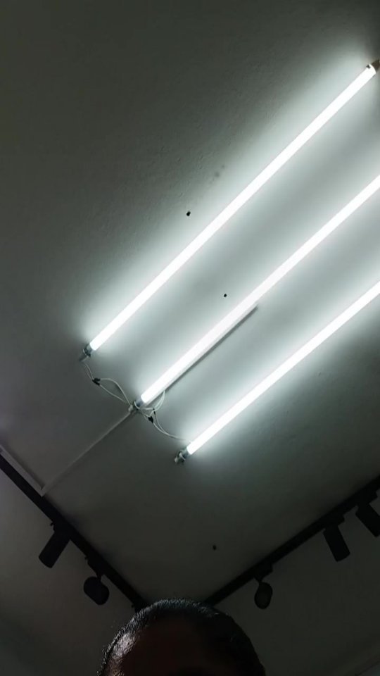 673883006 18581052733043468 7227527410209572020 n